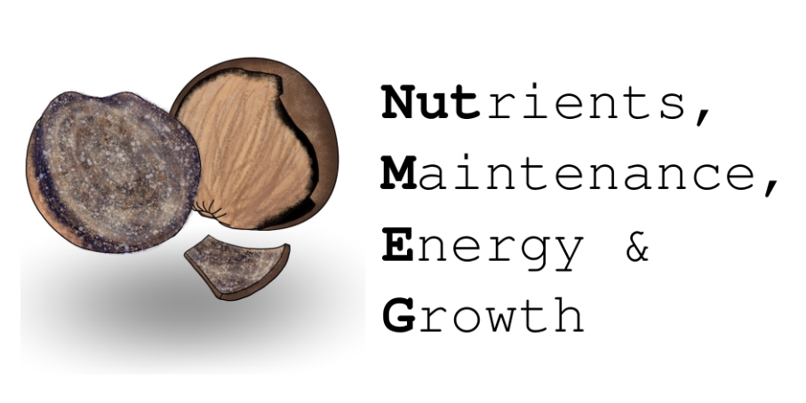 NutMEG logo
